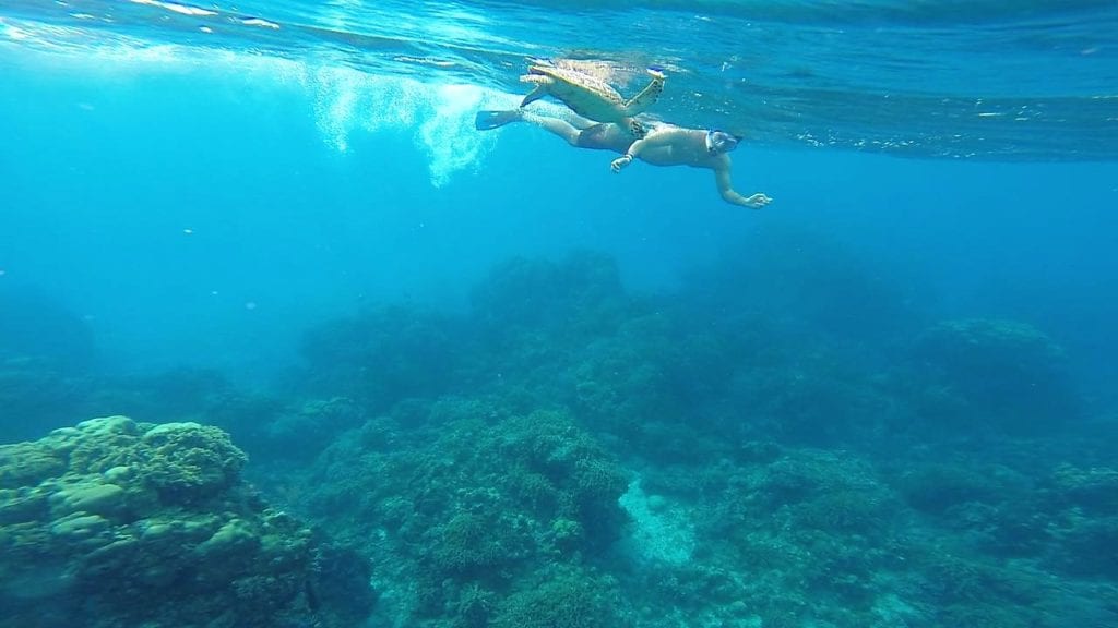 Snorkeling em Cozumel