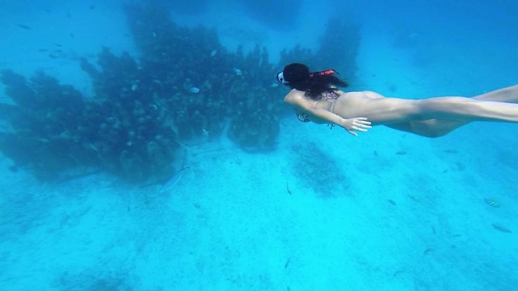 Snorkeling no MUSA