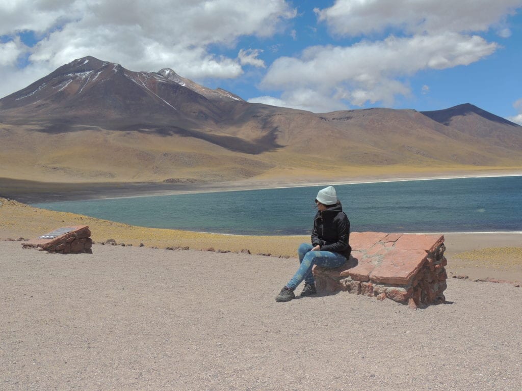 Lagunas Altiplânicas - deserto do Atacama