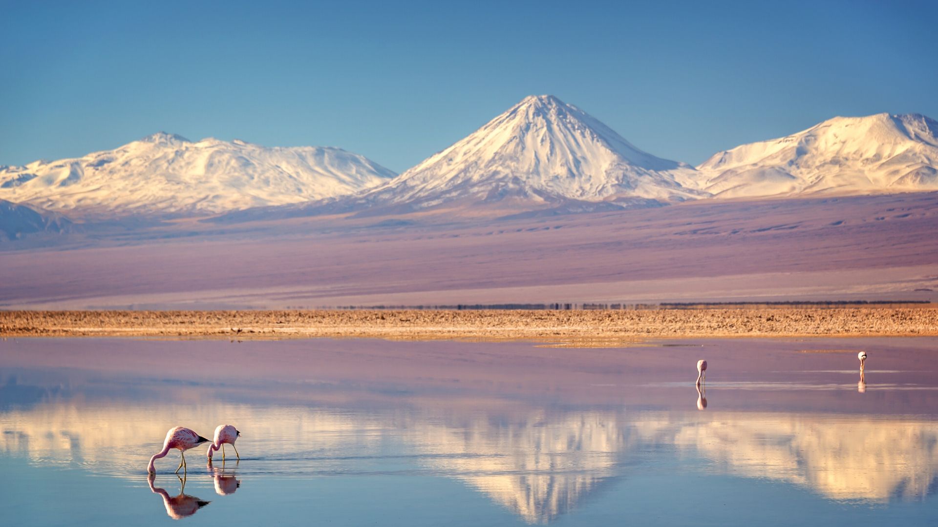 Deserto do Atacama no Chile: o deserto mais árido do mundo