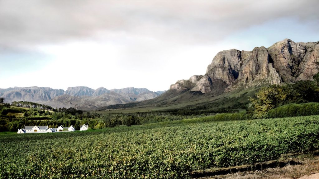 dicas e vinicolas em Stellenbosh