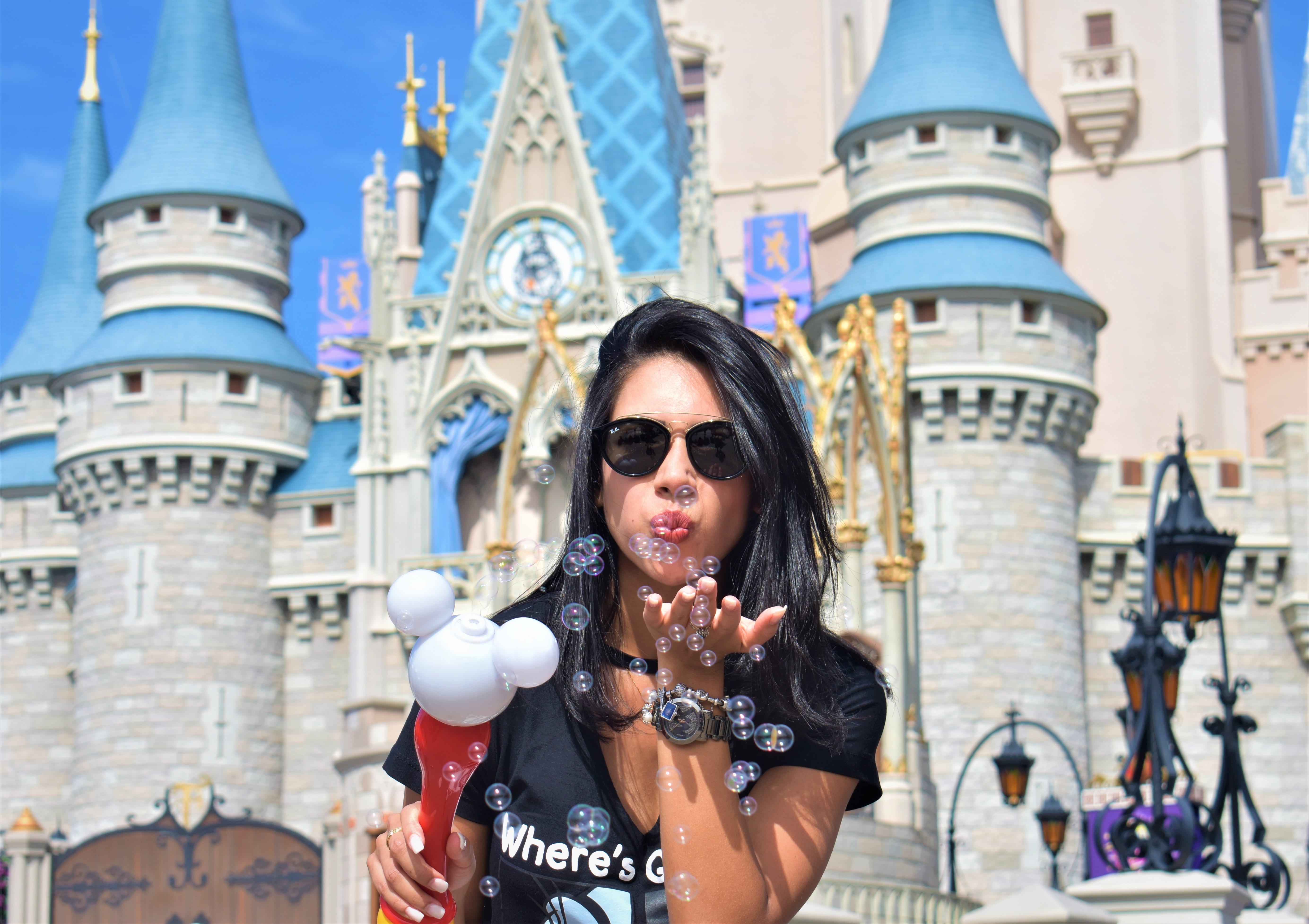 Disney quanto custa