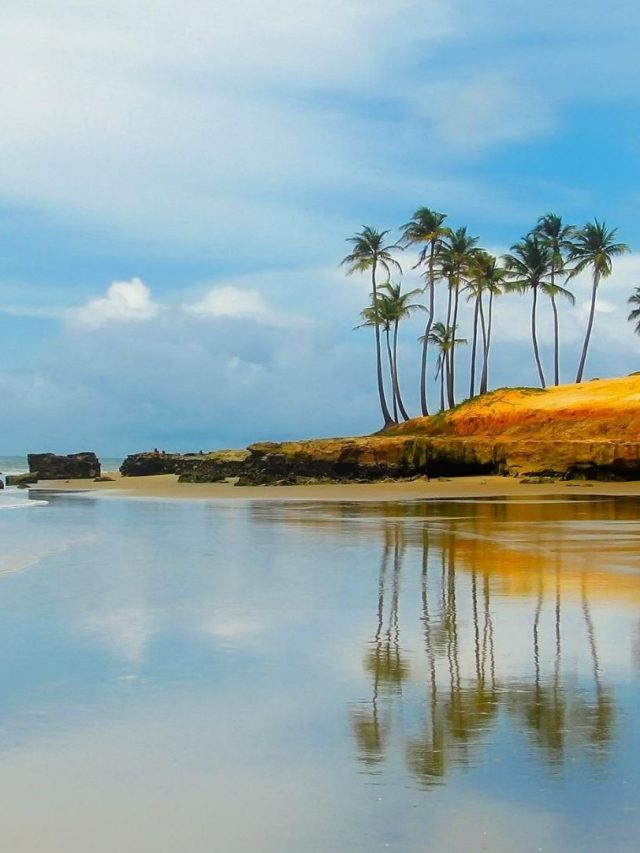 cropped-ferias-brasil.jpg
