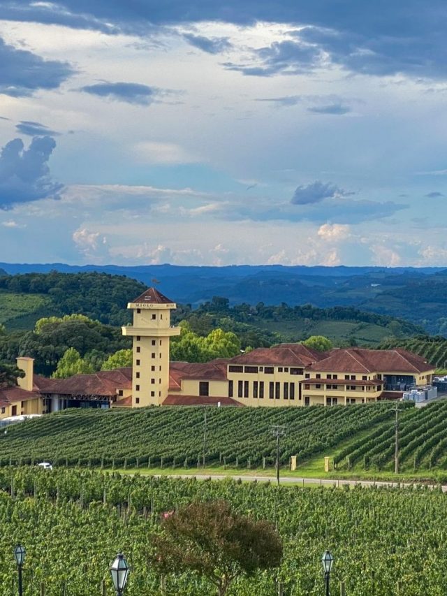 10 vinícolas para conhecer na Serra Gaúcha