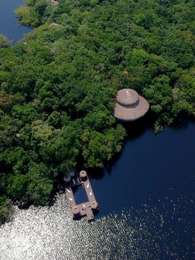 6 motivos para conhecer a Floresta Amazônica